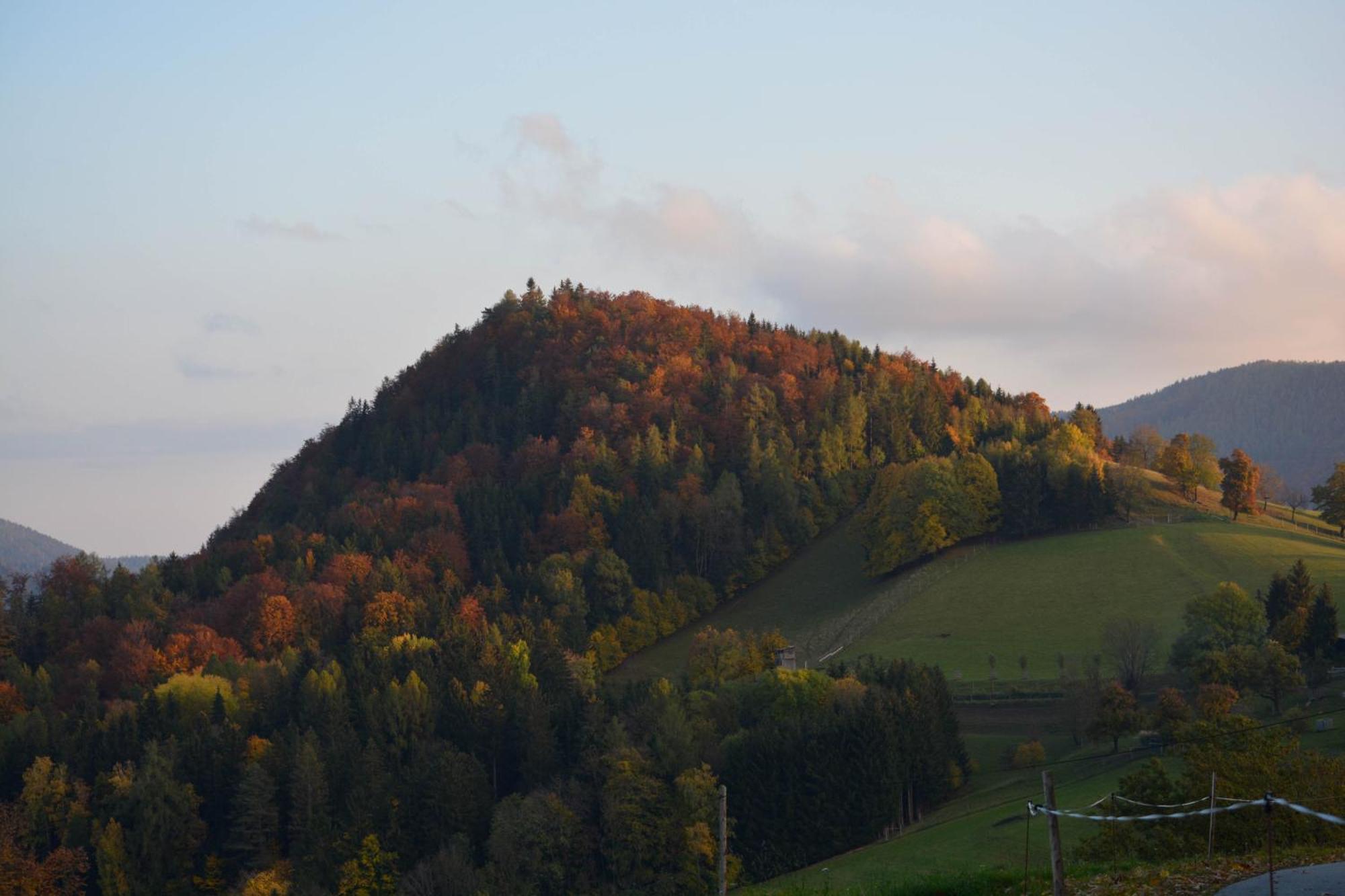 Ferienhaus Reisinger Promschhof Semriach Eksteriør bilde